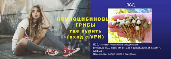 синтетический гашиш Вяземский