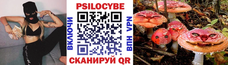 купить закладку  Медынь  Галлюциногенные грибы Cubensis 